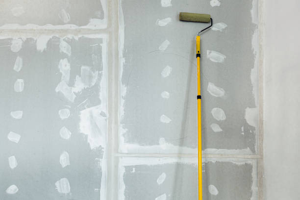 Best Drywall Removal and Disposal  in Carrollton, MO